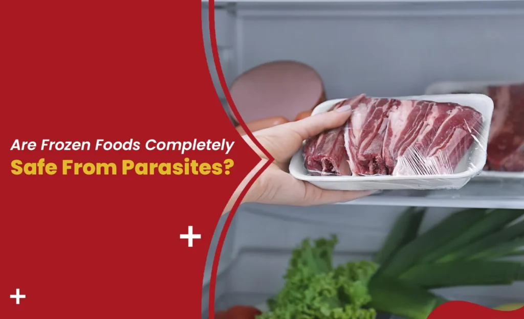 Are frozen foods safe from parasites – frozen raw meat being placed inside a household freezer