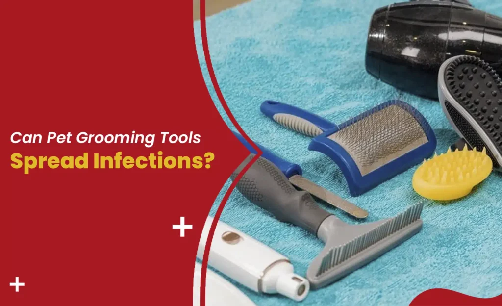 Can pet grooming tools spread infections? Brushes and clippers that may carry bacteria and parasites