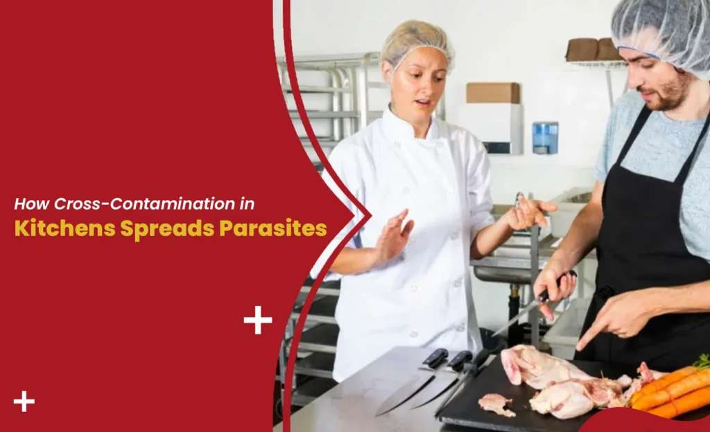 Chefs preparing raw chicken demonstrating cross-contamination in kitchens spreads parasites risk