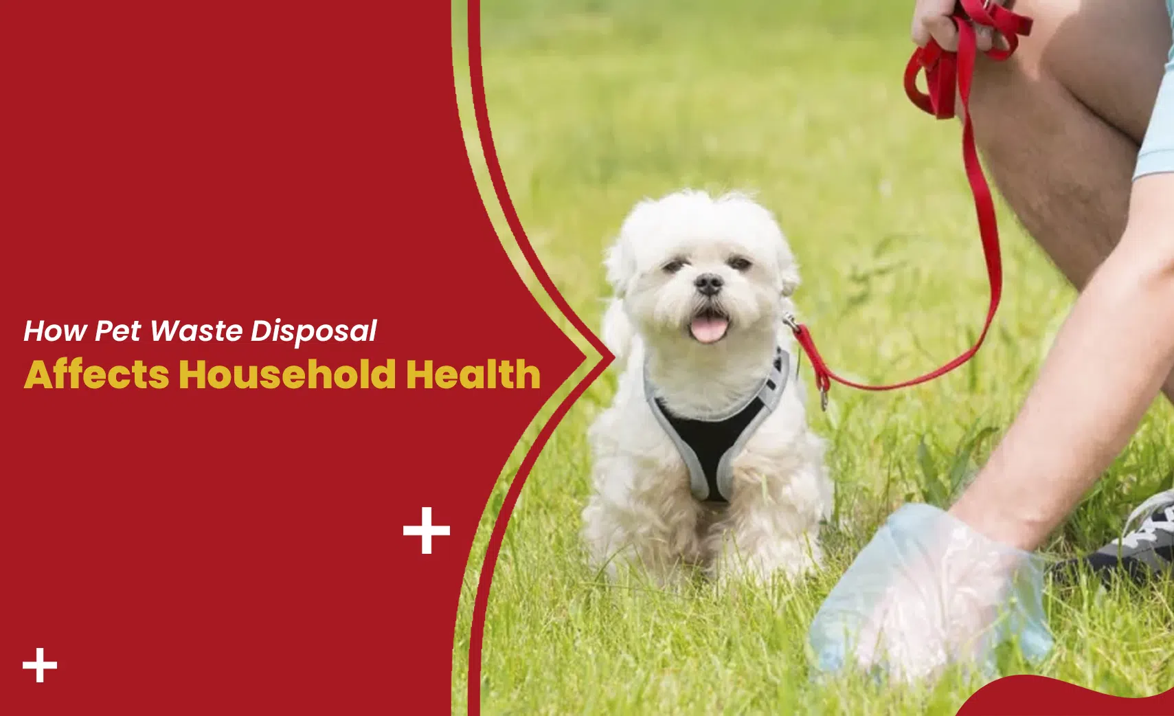 Pet Waste Disposal and Household Health shown with dog owner cleaning waste from grass with gloves outdoors