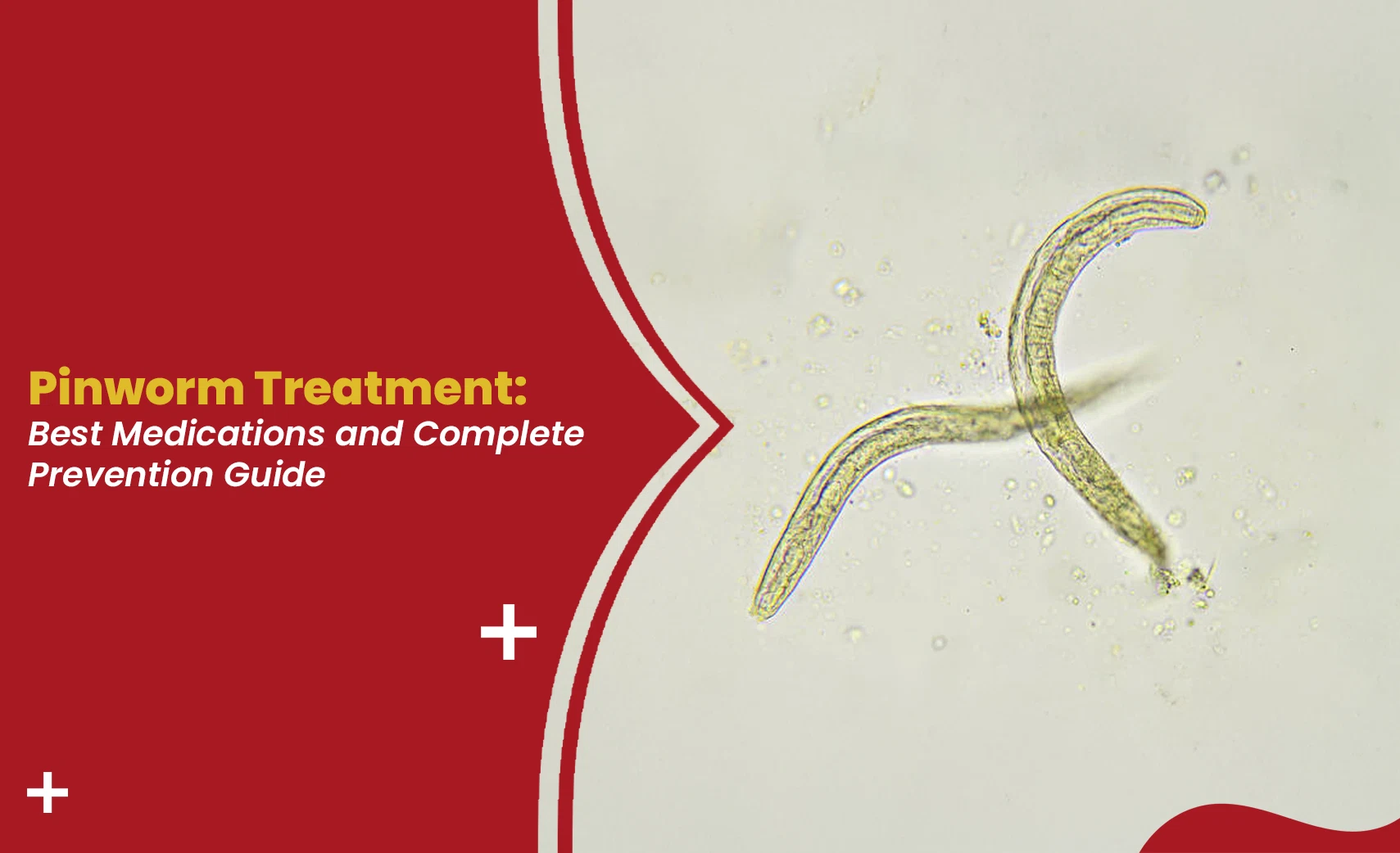 Pinworm treatment and prevention showing pinworms under microscope with medical prevention guide