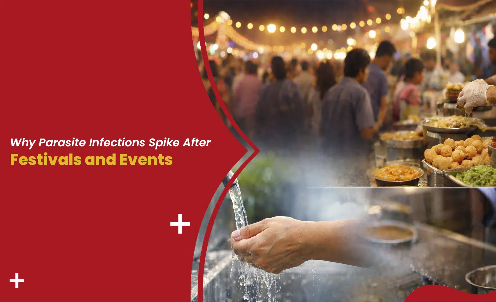 Parasite infections after festivals linked to street food stalls and poor hand hygiene at crowded events