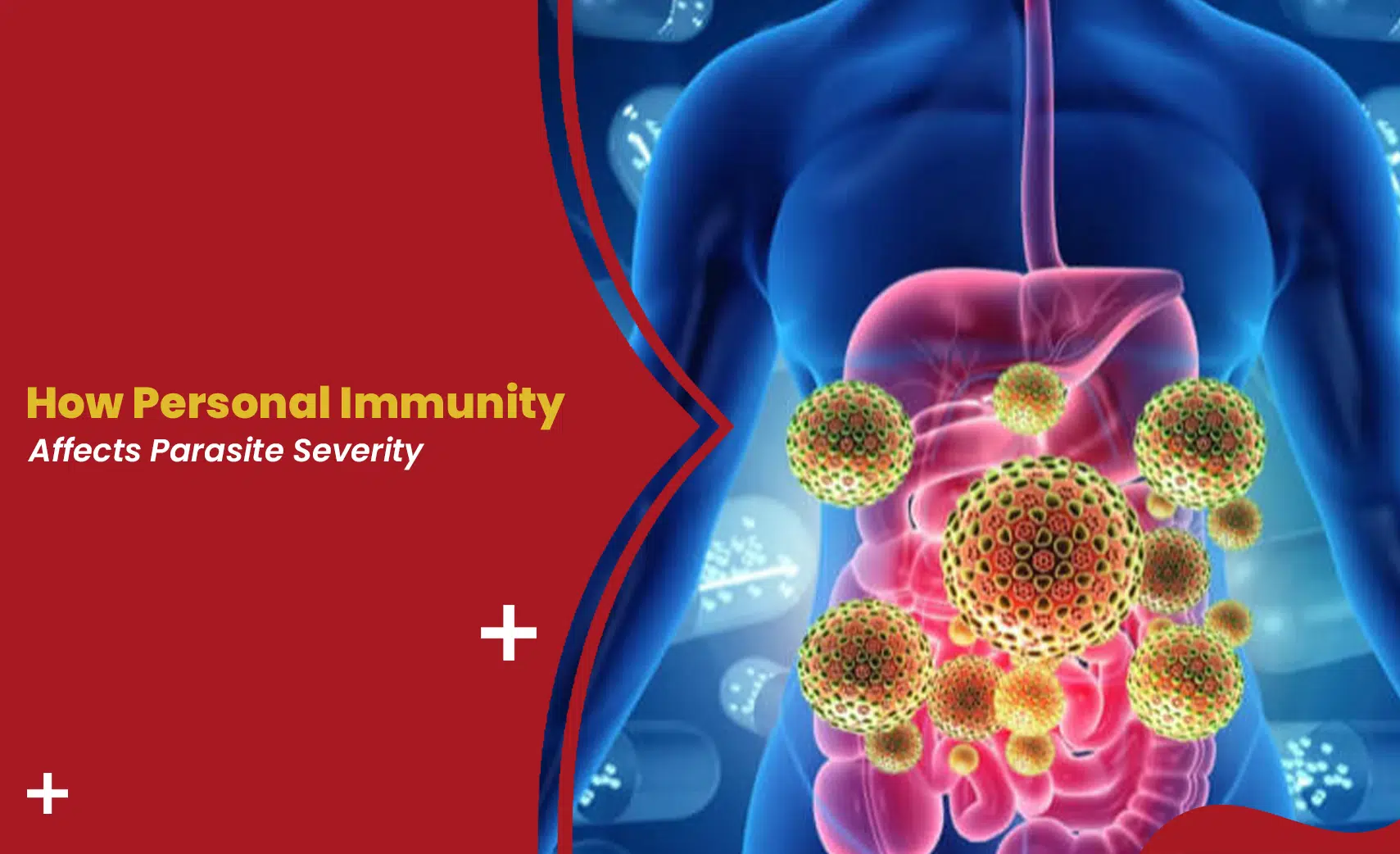 Immunity vs parasites