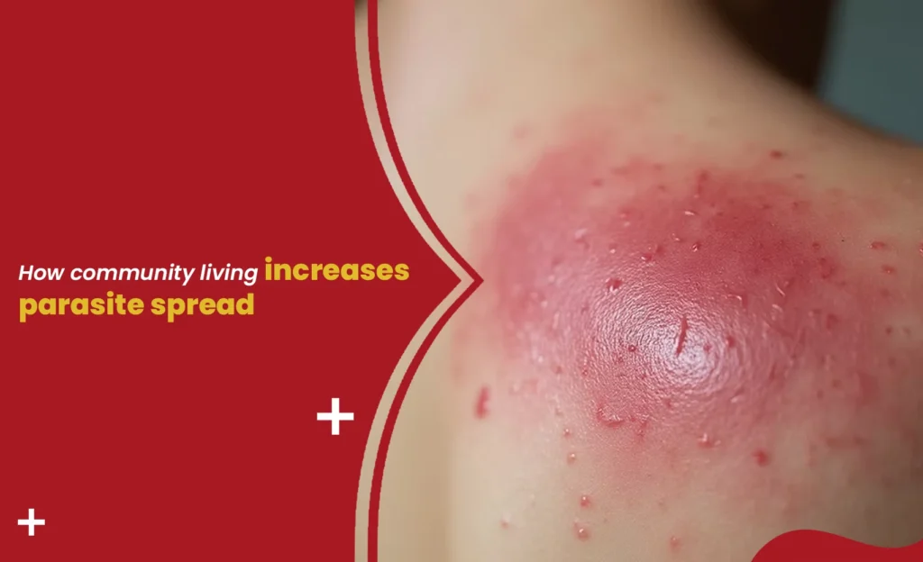 Parasite spread graphic