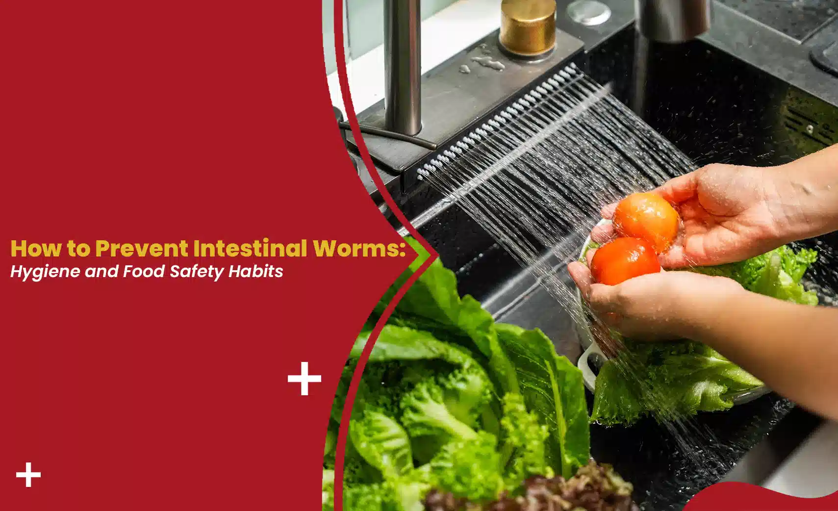 Washing tomatoes and lettuce under running water to prevent intestinal worms through hygiene and food safety